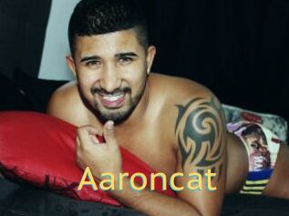 Aaroncat