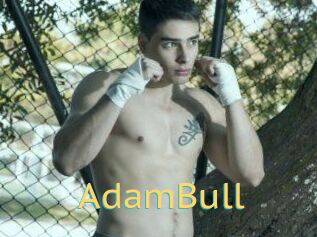 AdamBull