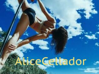 AliceCellador