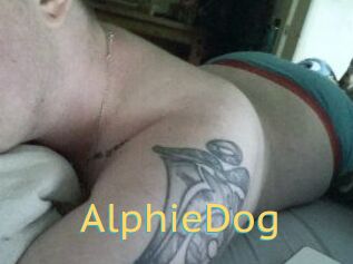 Alphie_Dog