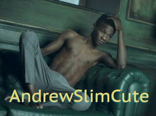 AndrewSlimCute