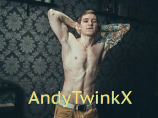 AndyTwinkX