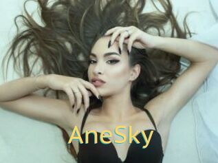 AneSky