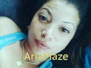 Aria_Maze