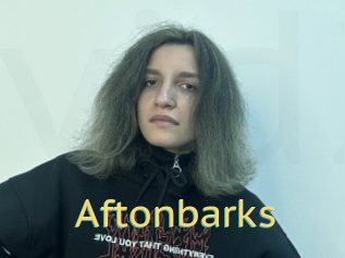 Aftonbarks