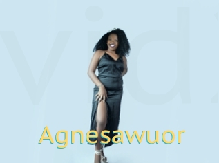 Agnesawuor