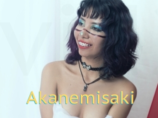 Akanemisaki