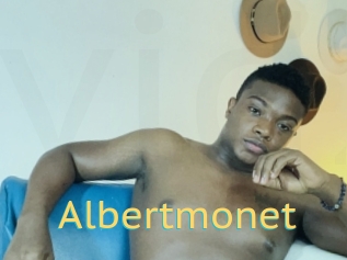 Albertmonet