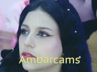 Ambarcams