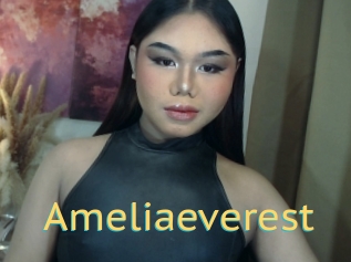 Ameliaeverest