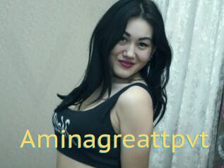 Aminagreattpvt