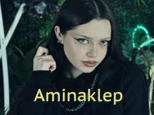 Aminaklep