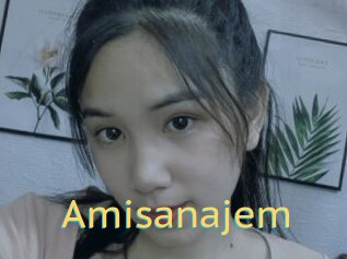 Amisanajem