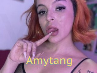 Amytang