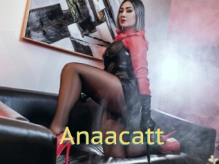 Anaacatt