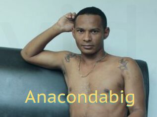 Anacondabig