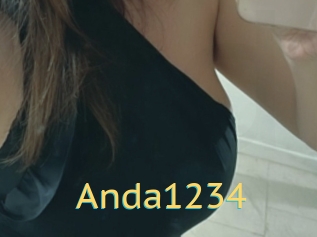 Anda1234