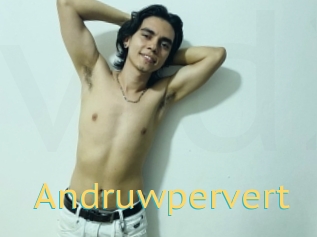 Andruwpervert