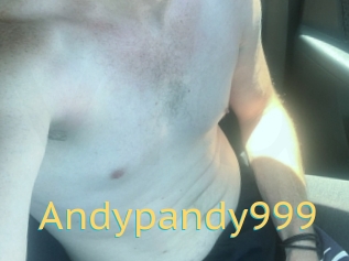 Andypandy999