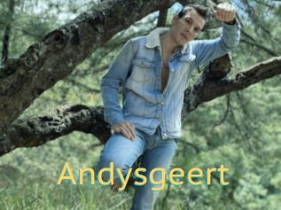 Andysgeert