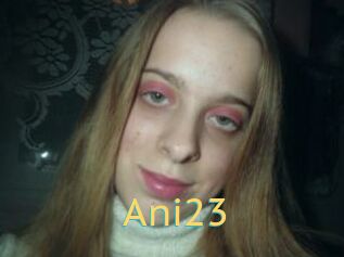 Ani23