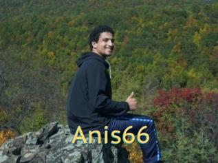 Anis66