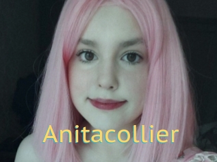 Anitacollier