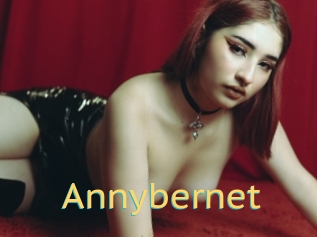 Annybernet