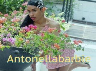 Antonellabarbie