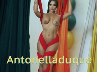 Antonelladuque