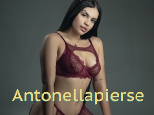 Antonellapierse