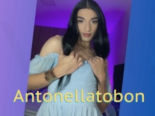 Antonellatobon