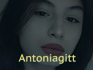 Antoniagitt