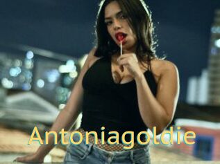 Antoniagoldie