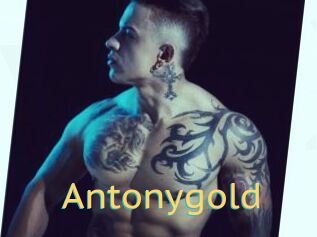 Antonygold