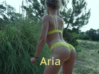 Aria