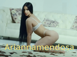 Ariannamendosa