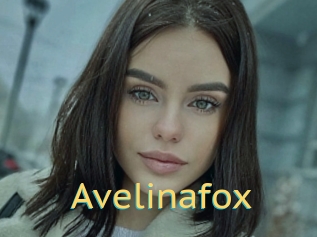 Avelinafox