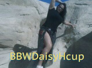 BBWDaisyHcup