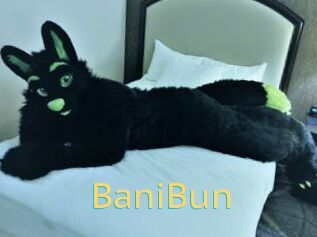 BaniBun