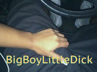 BigBoyLittleDick