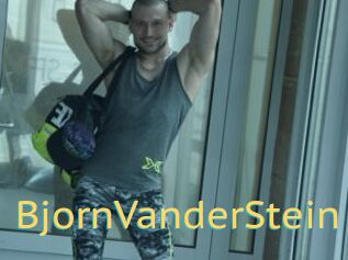 BjornVanderStein