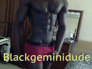 Blackgeminidude