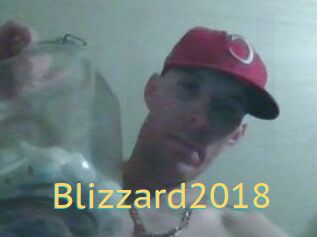 Blizzard2018