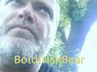 BoldIrishBear