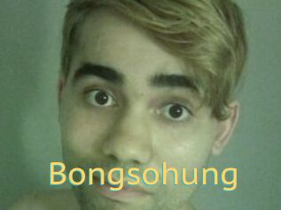 Bongsohung