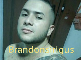 Brandonsirigus