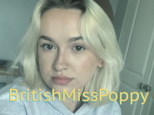 BritishMissPoppy