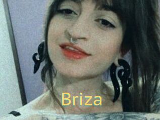 Briza