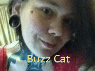 Buzz_Cat